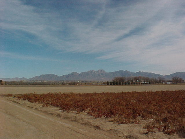 Organ Mountains from the road